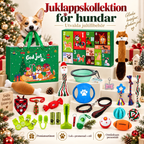 Julekalender med hundelegetøj